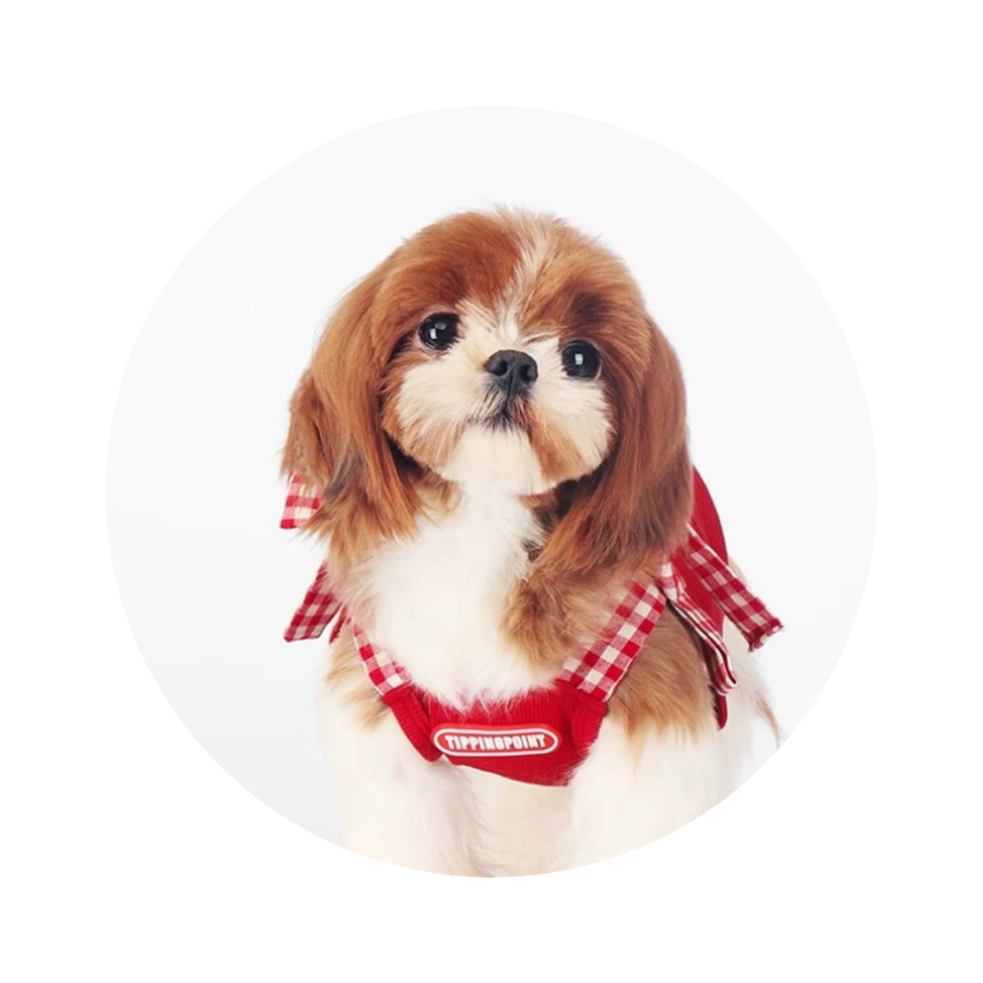 Pet Apparel