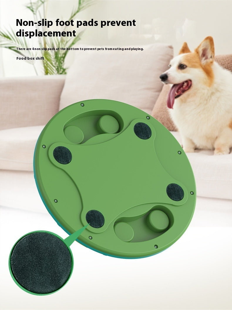 Pet Slow Feeding Toy