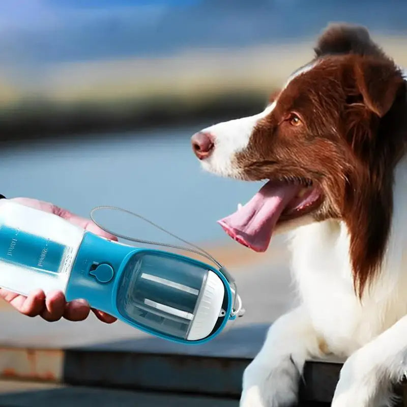 3-in-1 Dog Water Bottle with Food Container